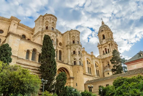 Endülüs 'teki Malaga Katedrali, İspanya — Stok fotoğraf