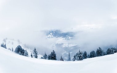 Kar, orman ve alçak bulutlarla kaplı kış manzarası Zell am 'da sisli dağlarda. Avusturya Alpleri.