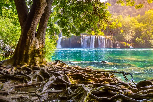 Krka Waterfalls in Krka National Park, Croatia. Skradinski buk is the longest waterfall on the Krka River with clear water and dense forest. Long exposure