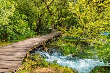 Hırvatistan 'ın Krka Ulusal Parkı ormanında nehir üzerinde tahta patika. Ağaçlarla, suyla ve günışığıyla güzel bir manzara.