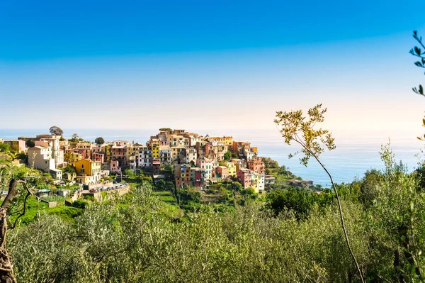 Corniglia, Cinque Terre, Italia - hermoso pueblo con coloridas casas en la cima del acantilado sobre el mar — Foto de Stock