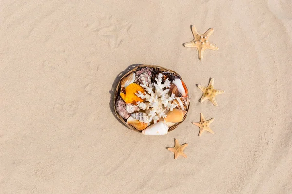 Top view of seashells, coral and starfish on golden sandy beach. Summer vacation concept