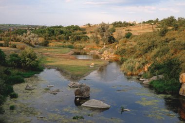 Dağları, ormanı ve önünde bir nehri olan bir manzara. Güzel manzara.