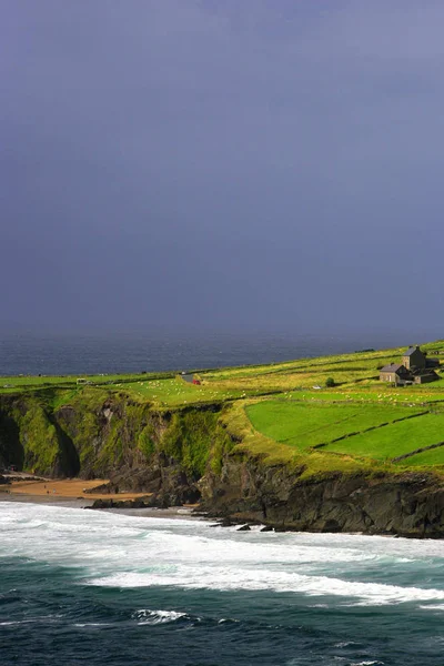 Coumeenoole пляжі в Ірландії — стокове фото