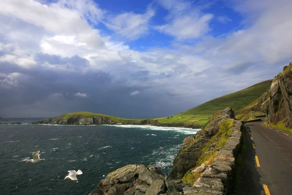 Slea Head Drive, Írország — Stock Fotó