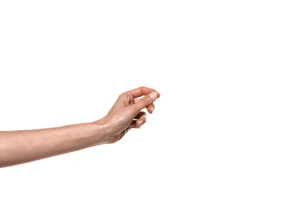 Hand pretending to hold something - copy space and white background
