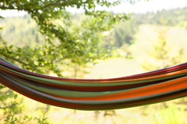 Ağaçta asılı hamak