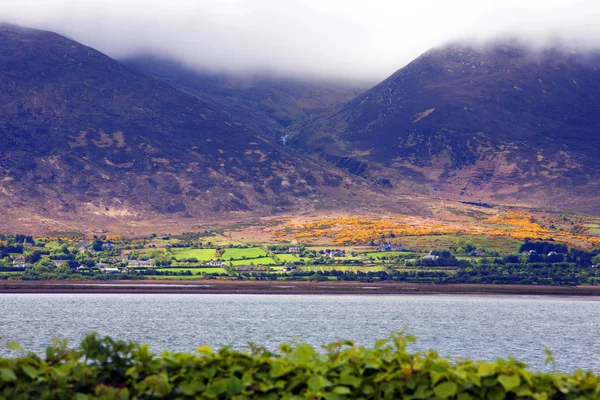 Paisagem irlandesa perto de Tralee - Condado de Kerry — Fotografia de Stock