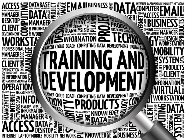 Training and Development word cloud