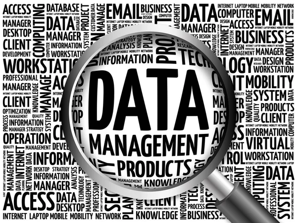 Data Management word cloud — Stock Photo, Image