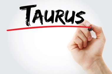 El Toros marker ile yazma