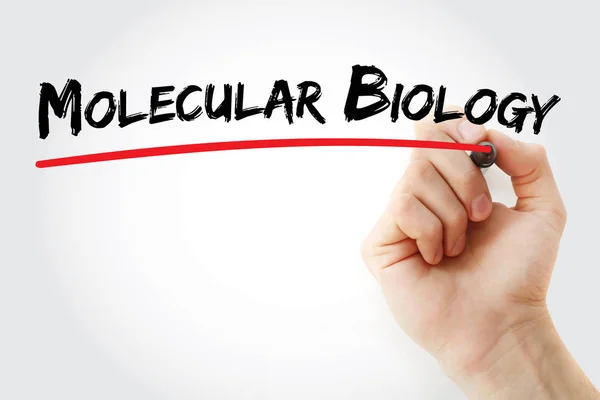 Hand schrijven van moleculaire biologie met marker — Stockfoto