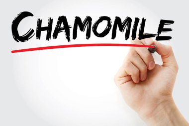 Papatya marker ile yazma el