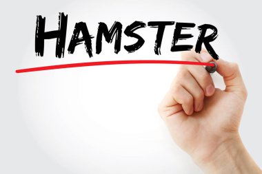 Hamster marker ile yazma el