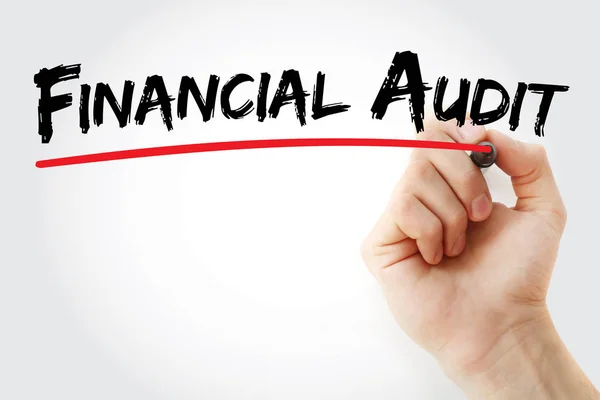 Hand writing Financial audit with marker — Stock Photo, Image