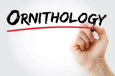 Ornitoloji marker ile yazma el