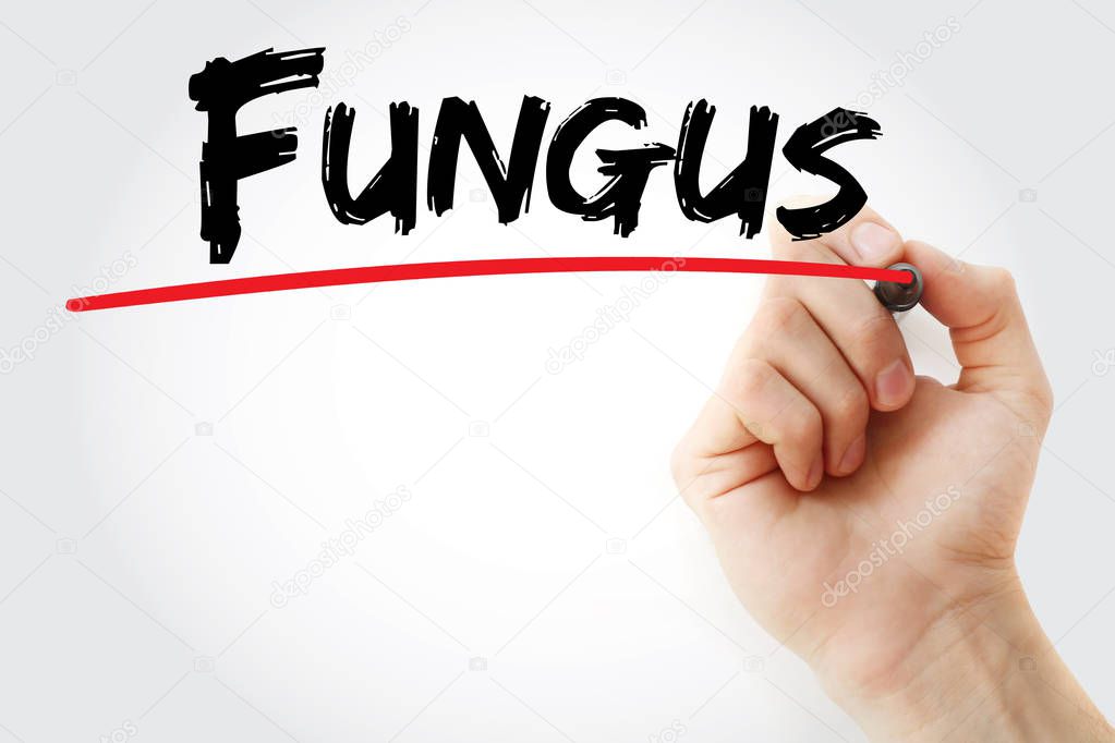 Hand writing Fungus with marker