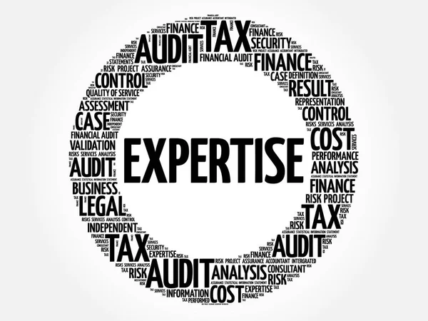 Expertise mot nuage — Image vectorielle