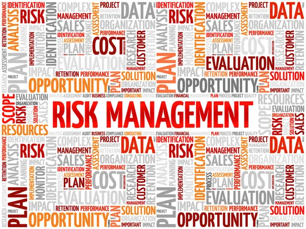 Risk Management word cloud — Stock Vector