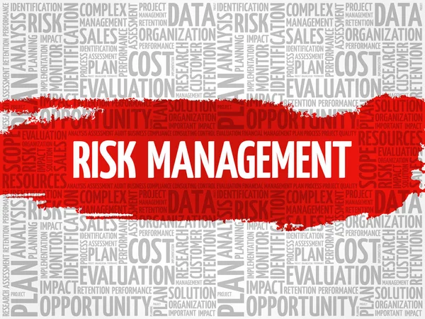 Risk Management word cloud — Stock Vector
