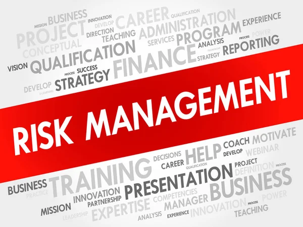 RISK Management word cloud collage — Stock Vector