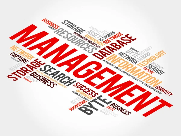 Management word cloud — Stock vektor