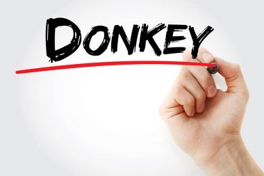 El eşek marker ile yazma