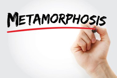 El metamorfoz marker ile yazma