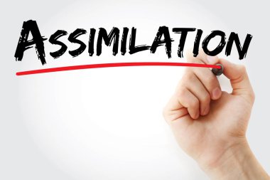 Asimilasyon marker ile yazma el