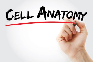 Hücre anatomi marker ile yazma el