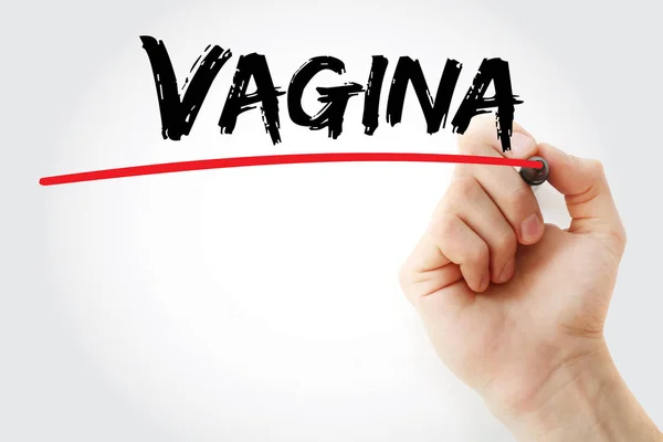 Hand writing Vagina with marker — Stockfoto