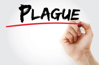 El yazma veba marker ile