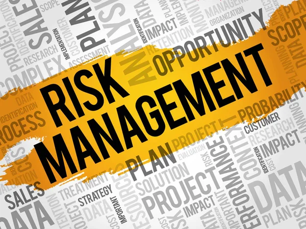 Chmura słowa zarządzanie ryzykiem — Wektor stockowy