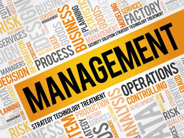 Management word cloud — Stock vektor