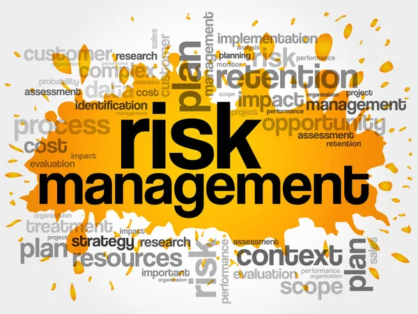 Risk management word cloud — Stock vektor