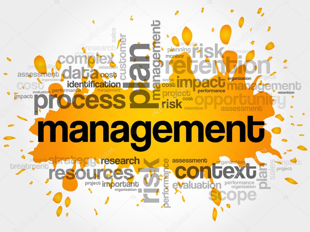 MANAGEMENT word cloud collage