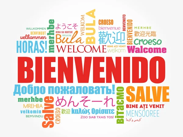 Bienvenido , Welcome in Spanish — Stock Vector