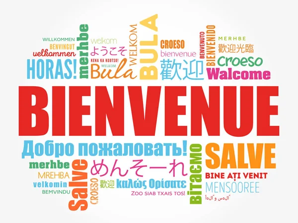 Bienvenue (Üdvözöljük a francia) — Stock Vector