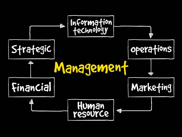 Mappa della mente di gestione — Vettoriale Stock