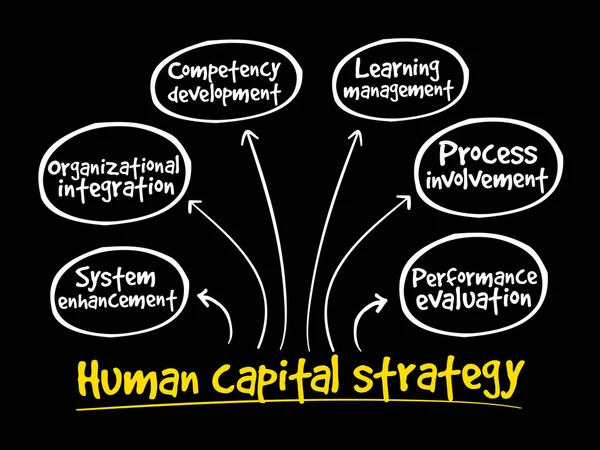 Mänskligt kapital strategi tankekarta — Stock vektor