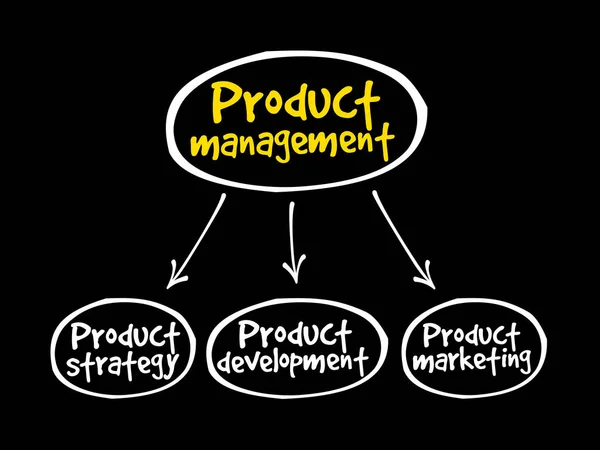 Productmanagement mindmap — Stockvector