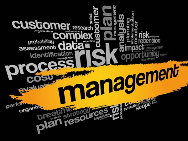 MANAGEMENT word cloud collage — Stock Vector