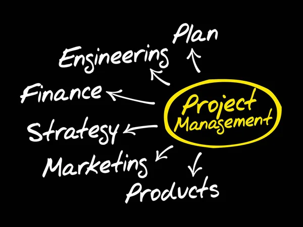 Carte mentale de gestion de projet — Image vectorielle