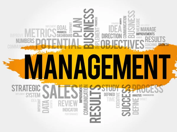 MANAGEMENT word cloud collage — Stock Vector