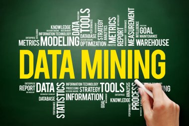 Veri madenciliği teknoloji stratejisi