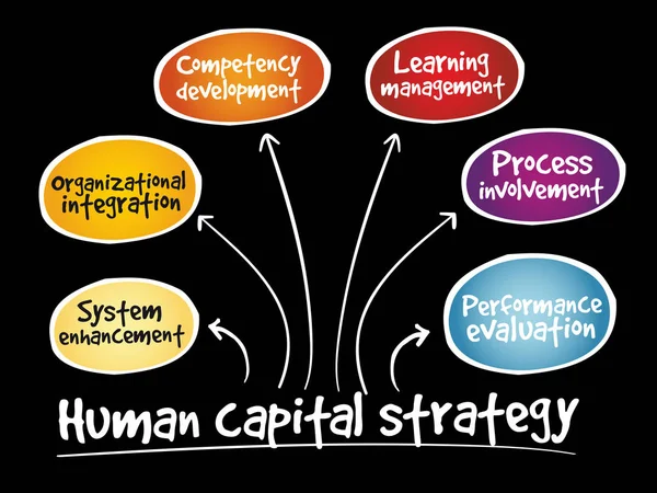 Mänskligt kapital strategi tankekarta — Stock vektor