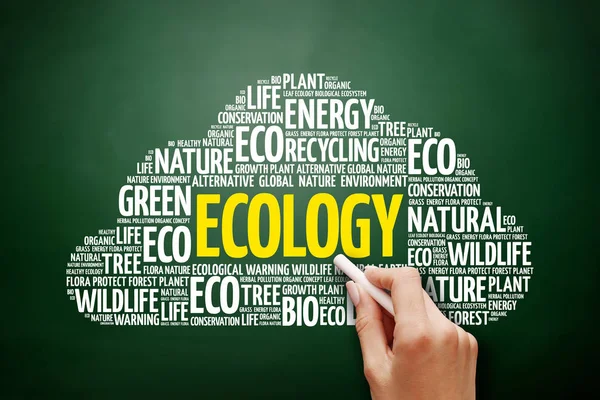 Ecologie word cloud collage — Stockfoto