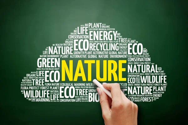 Natuur word cloud collage — Stockfoto