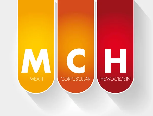 MCH - Acrónimo médio de hemoglobina corpuscular — Vetor de Stock