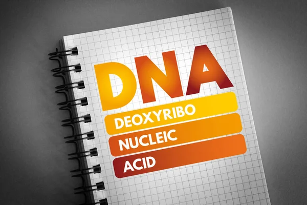 DNA - 디옥시리보 핵산 약어 — 스톡 사진
